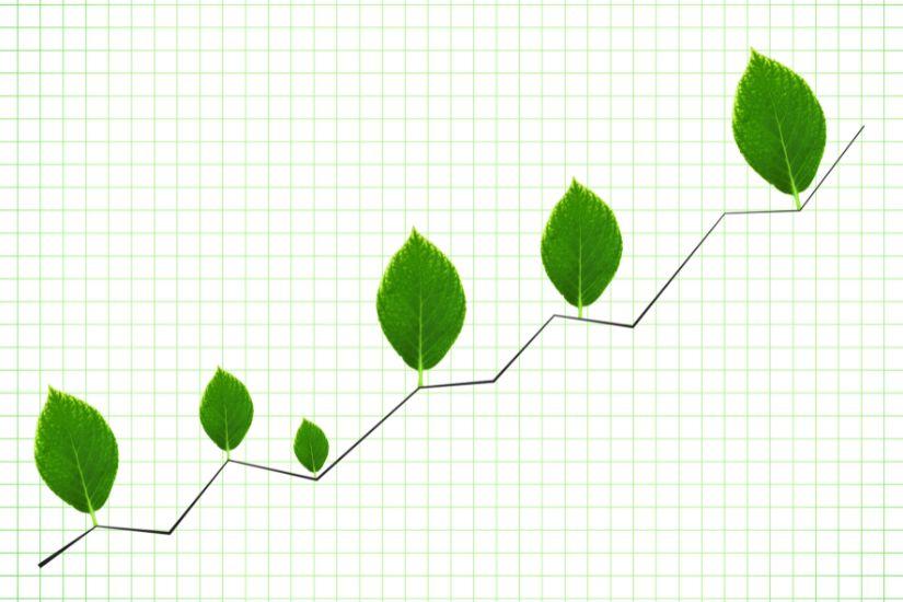 Auch wenn du minimalistisch investieren möchtest und vieles automatisch läuft, solltest du deine Investitionen im Blick behalten. Eine Grafik, die das Wachstum eines Investments über einen längeren Zeitraum darstellt.